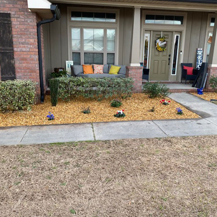 Trustworthy Background