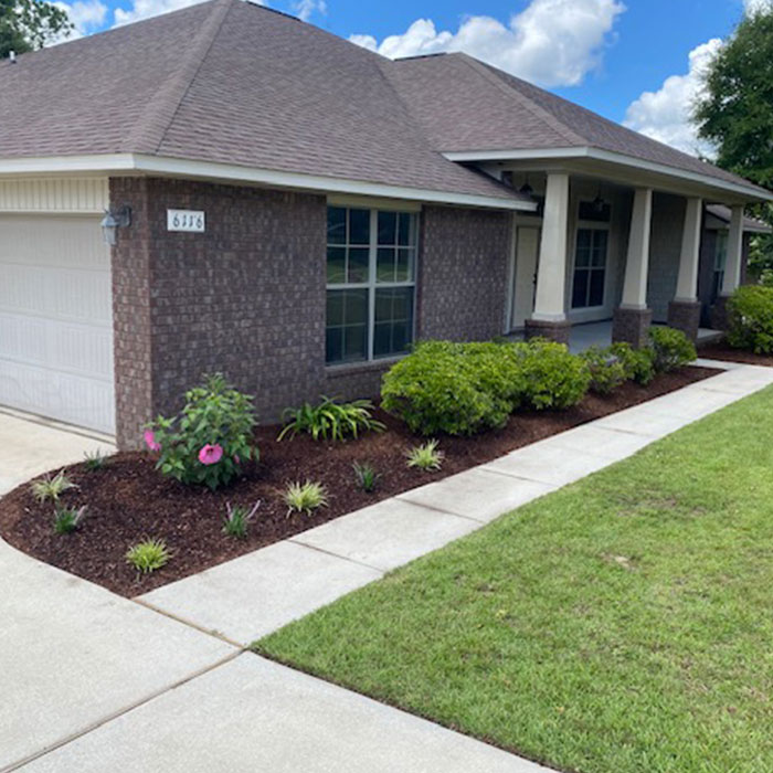 Trustworthy Background