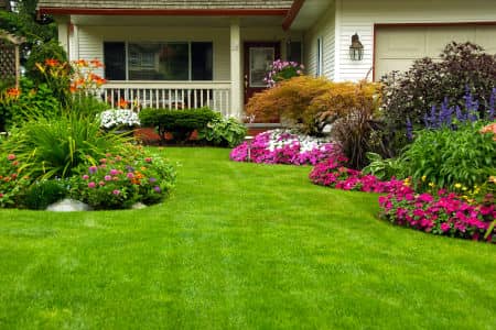 Lawn Care Services
